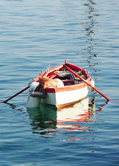 Isola d'Elba